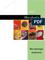 TP 8 Micología