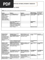 Gestion de Control Interno y Riesgos