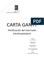 Ejemplo Panificación Del Internado de Enfermeria