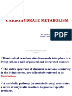 Carbohydrate Metabolism