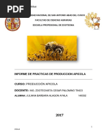 Informe de Abejita