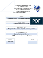 Informe Final Universidad Nacional Del Altiplano Puno