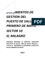 Documentos de Gestion Del Puesto de Salud Primero Demayo