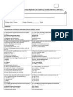 Prueba Agosto Ciencias Naturales Sistema Oseo Muscular y Nervioso 4° Básico.