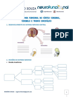 Rogério Souza Neuroanatomia Funcional Do Córtex Cerebral