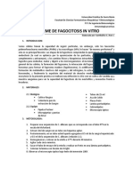 Informe de Fagocitosis in Vitro