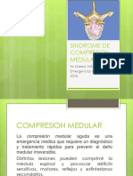 Sindrome de Compresion Medular