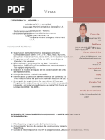 CV Modelo