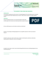 Phylogenetic Trees Click Learn Worksheet