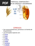 Características, Composición y Estructura de Cereales y