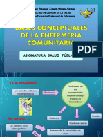 BASES CONCEPTUALES Enfermeria Comunitaria