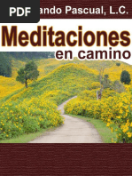 Meditaciones en Camino - Fernando Pascual LC