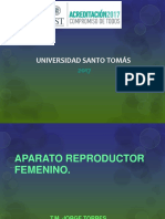 Femenino Embrio