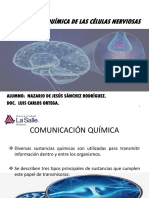 Comunicación Química de Las Células Nerviosas