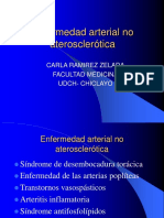 Enfermedad Arterial No Aterosclerotica