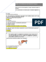 Prueba Ciencias 5 Basico