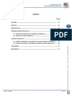 Acidosis Metabolica-2015-Monografia PDF