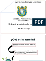 Ciclo de La Materia en El Ecosistema