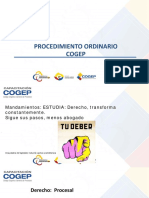 11 - Curso Cogep Procedimiento Ordinario Cogep PDF