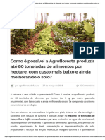 Como É Possível A Agrofloresta Produzir Até 80 Toneladas de Alimentos Por Hectare, Com Custo Mais Baixo e Ainda Melhorando o Solo - Agrofloresta Do Futuro