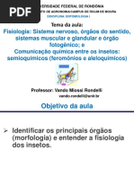 Fisiologia: Sistema Nervoso, Órgãos Do Sentido, Sistemas Muscular e Glandular e Órgão Fotogênico e Comunicação Química Entre Os Insetos: Semioquímicos (Feromônios e Aleloquímicos)