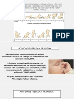 Aula - Reflexos Primitivos.
