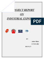 A Project Report ON Industrial Exposure: BY: Ankur Mitna S.Y B.B.A (B) Roll No.29