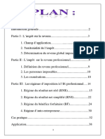 IR Professionnel Rapport