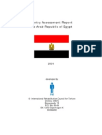 Egypt Torture Report