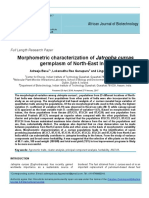 Morphometric Characterization of Jatropha Curcas Germplasm of North-East India