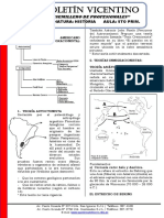 5to Teorias Inmigracionista e Autoctonista