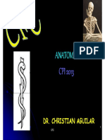 Musculos Del Abdomen PDF