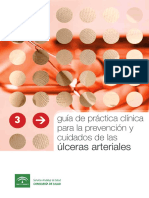 Guia - de - Cuidados de Ulceras Arteriales PDF