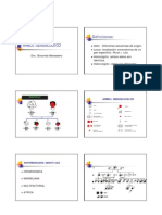 Clase 3 Arbol Genealogico