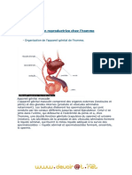 Cours Complet Reproductionpdf