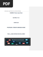 Como Interactúo en La Red.