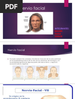 Nervio Facial EXPO