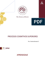 Procesos Cognitivos Superiores