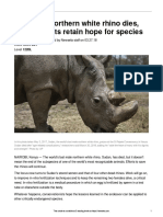 White-Rhino-Sudan-Dies-41574-Article and Quiz