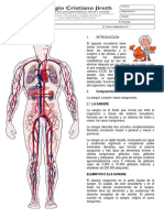 Sistema Circulatorio 6