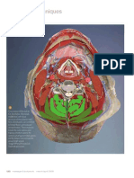 Neck Part II: Working With The Cervical Core (Myofascial Techniques)