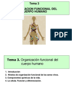 Organizacion Funcional Del Cuerpo Humano 02