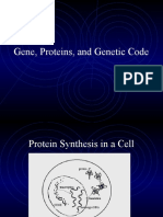 Gene, Proteins, and Genetic Code