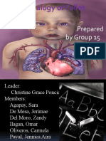 Tetralogy of Fallot