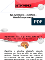 Corticoides PDF