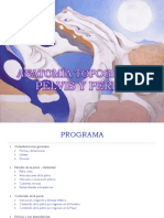 ANATOMIA TOPOGRAFICA DE LA PELVIS Parte 1 PDF