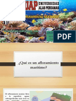 Afloramiento Marino