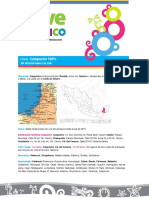 Campeche PDF