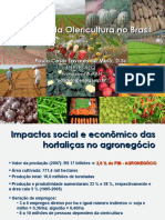 Situacao Da Olericultura PDF