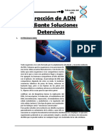 Extracción de ADN Mediante Soluciones Detersivas